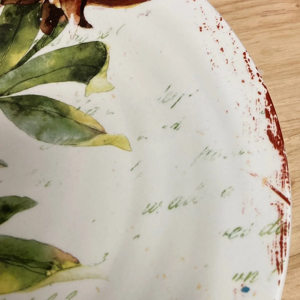 Pier 1 Imports Verona Ironstone Salad Plates Set of 4